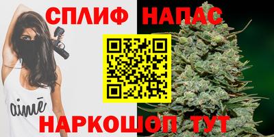 стафф Новозыбков