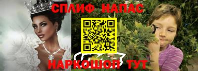 ешки Новодвинск