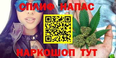 ешки Новодвинск