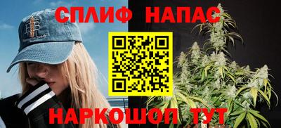 ешки Новодвинск