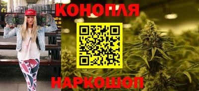 стафф Новозыбков
