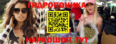 стафф Новозыбков
